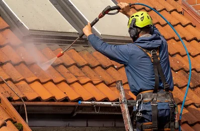Démoussage et hydrofuge de toiture à Plagnole